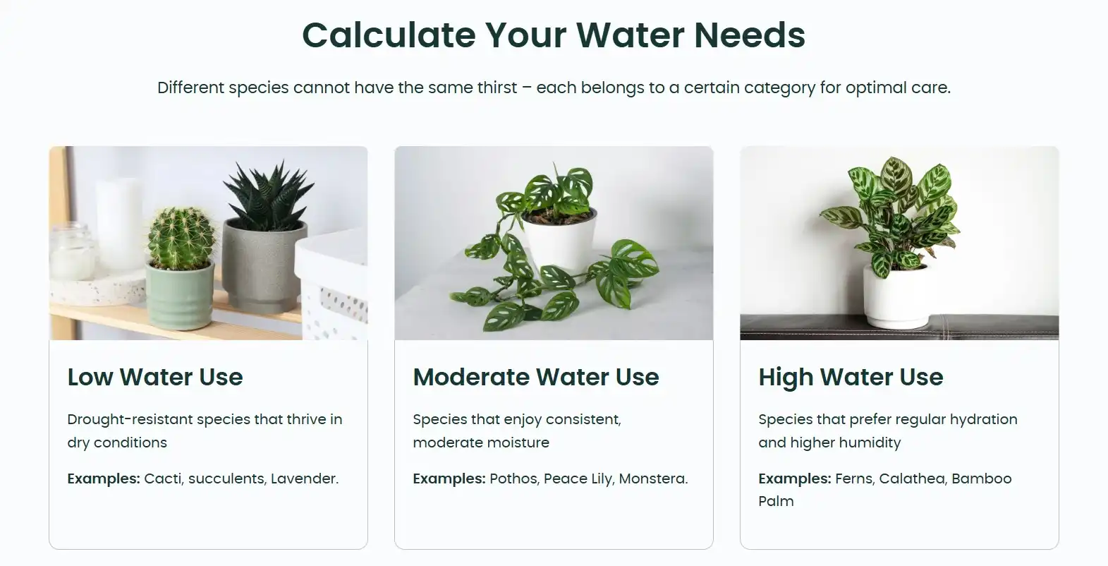 A screen from the AI Plant Finder website.